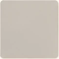 Muestra de color Gris claro